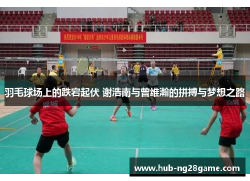 羽毛球场上的跌宕起伏 谢浩南与曾维瀚的拼搏与梦想之路